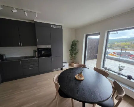 Nice apartment in the center of Trysil 402 トリシルのホテル