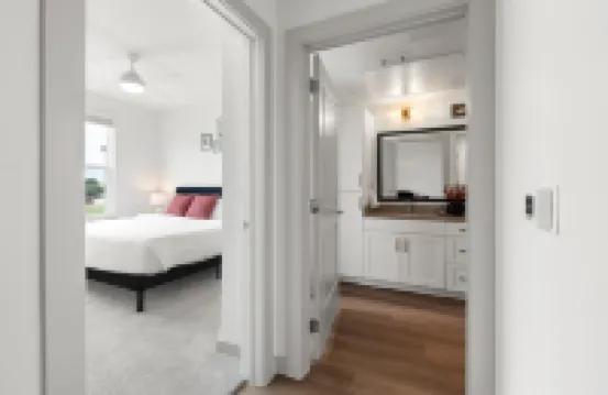 Large & Lively Apt