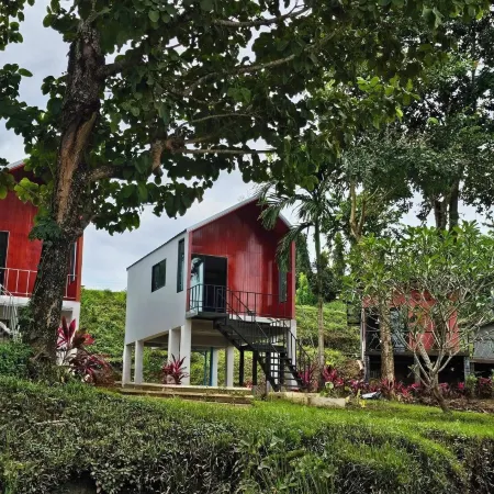 The Raft Land Resort