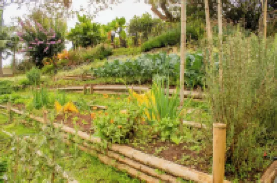 Hotel Campestre Rancho La Lechería