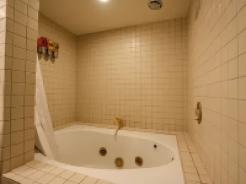 澤內拉帕爾默酒店 杜蘭戈酒店