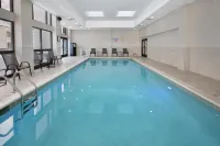 DoubleTree by Hilton Detroit Novi - Pool