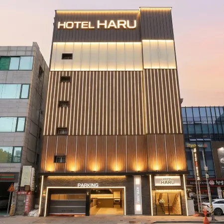 Daegu Dongdaegu Station Hotel Haru