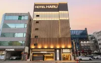 Daegu Dongdaegu Station Hotel Haru - موتيلات