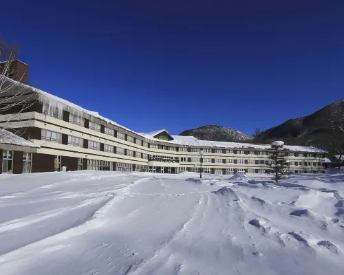 Nikko Astraea Hotel Hotels near Ryuzu Waterfall