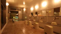 Echigoya Ryokan - Varme kilder