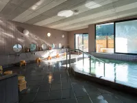 Ryokan Niemonya - Hot Springs