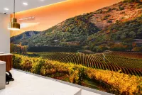 La Quinta Inn & Suites by Wyndham Tracy