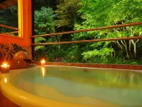 Kasumi Shibayamaso Bekkan Sansuien - Hot Springs