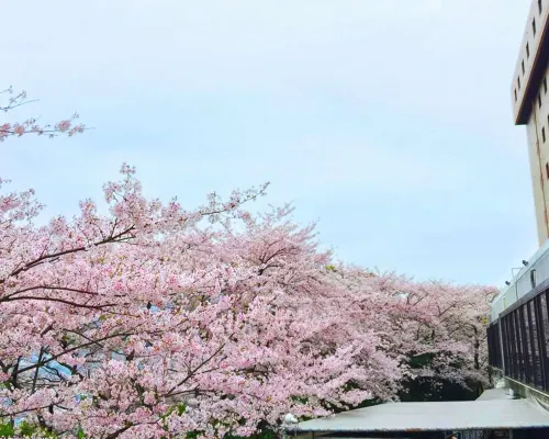 稲佐山観光ホテル ホテル周辺 Photos