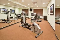 Holiday Inn Express & Suites BUFORD NE - LAKE LANIER by IHG - Gym