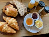 Bowhayes Farm Sanctuary - Glamping - Homestays