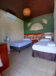 Hostal Don Miguel - Хоумстей