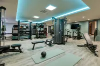 Holiday Inn HASSELT by IHG - Gym