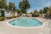 Featherbed Railroad - Pools