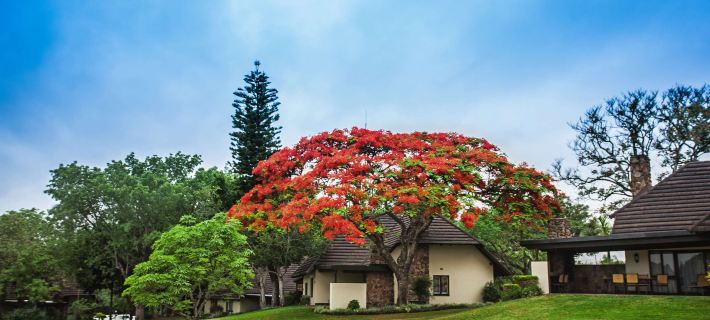 Sabi River Sun Resort Hotels in Ehlanzeni