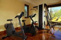 Sheraton Addis, a Luxury Collection Hotel, Addis Ababa - Gym