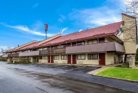 Red Roof Inn Lexington - Pet friendly