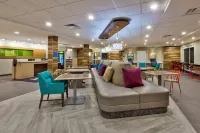 Home2 Suites by Hilton Grand Blanc Flint - Pet friendly