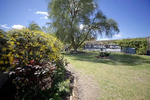 Bidgee Motor Inn - Motels