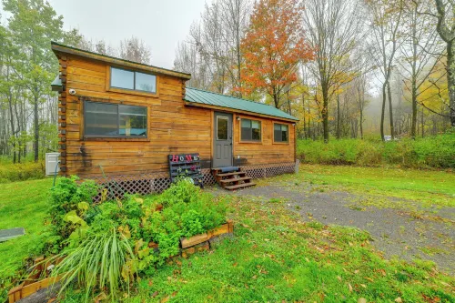 Catskills Tiny Home Cabin: Surrounded by Nature! - 3-Star