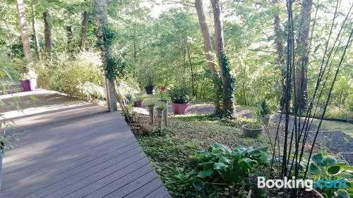 33號度假屋酒店