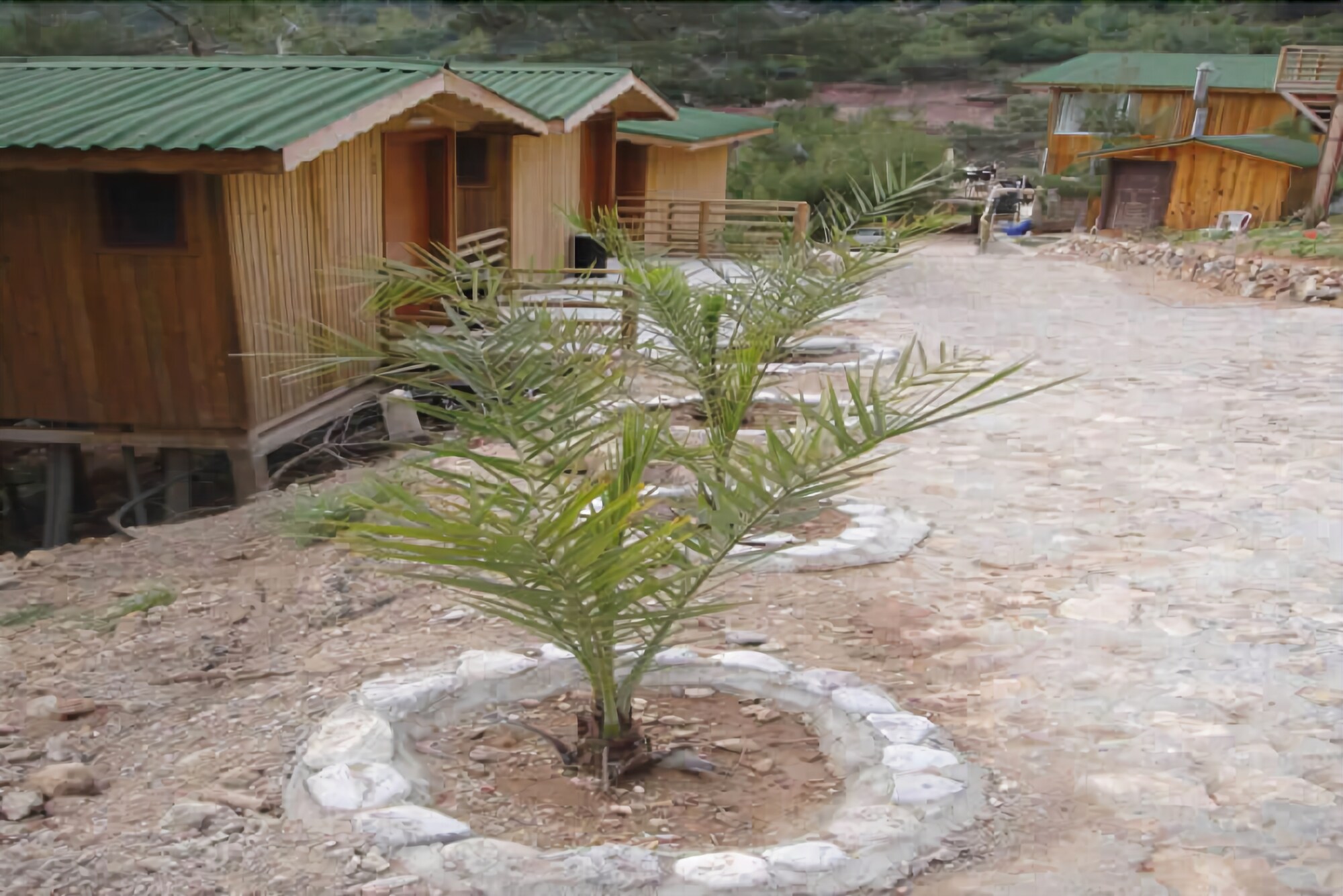 Tree Houses