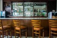 Serra Negra Palace Hotel - ที่มีบาร์