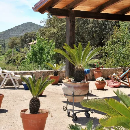 Cycas Hotels in Itri