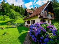 Božica Các khách sạn ở 