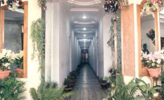 There is a long hallway with plants on the floor and an arched doorway that leads to another area at Hotel Sonali