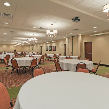 Holiday Inn MERIDIAN E - I 20/I 59 by IHG