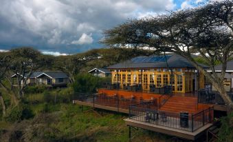 Ngorongoro Lions Paw