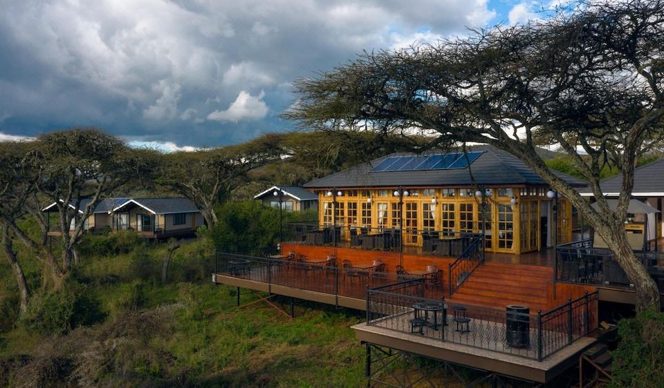 Ngorongoro Lions Paw