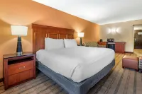 Best Western Plus Flagler Beach Area Inn & Suites Hotels in Flagler County