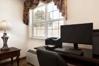 Microtel Inn & Suites by Wyndham Lodi/North Stockton Hotels in Isleton
