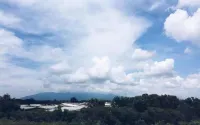 Rock Wood Hotel فنادق في سونغاي باسير