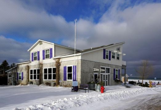 1. 더 퍼플 마틴 ..