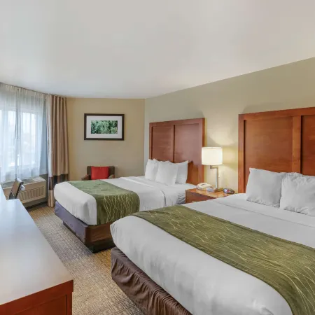 Comfort Inn University