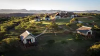 Jbay Zebra Lodge - Airport Shuttle