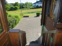 Löwenzahn