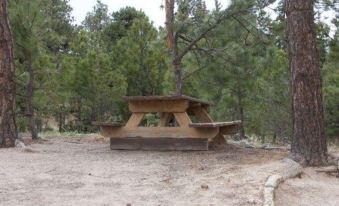 Black Forest Lodge