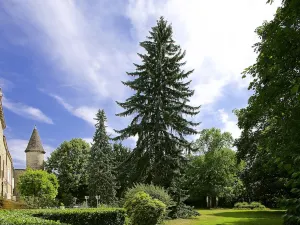 Chateau de Fleurville
