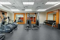 Hilton Garden Inn Mobile West I-65/Airport Blvd. - Gym