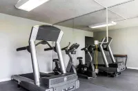 إيكونو لودج