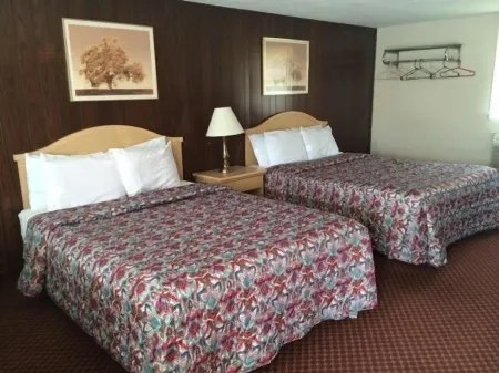 Fels Three Crown Motel Отели в г. Эйкрон