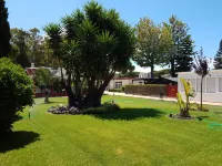 Hotel Dunas Puerto Hotels near Parque Metropolitano Marisma de los Torunos and Pinar of the Algaida