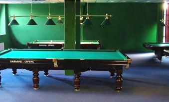 a green billiards table with a black top and black legs is in the middle of a room at Mayak