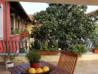 Macallè Hotel a Oleggio