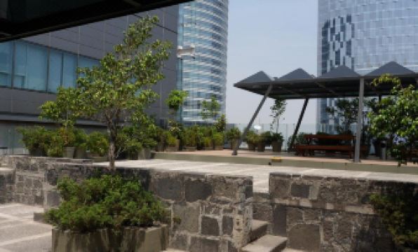 2. 카프리 레포르마..